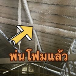 ฉีดโฟมพียูทําแพ (69)